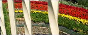 Rainbow garden at Pecorama, Beer