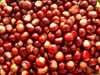 More conkers