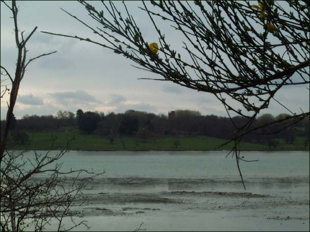 Opposite shore: look hard